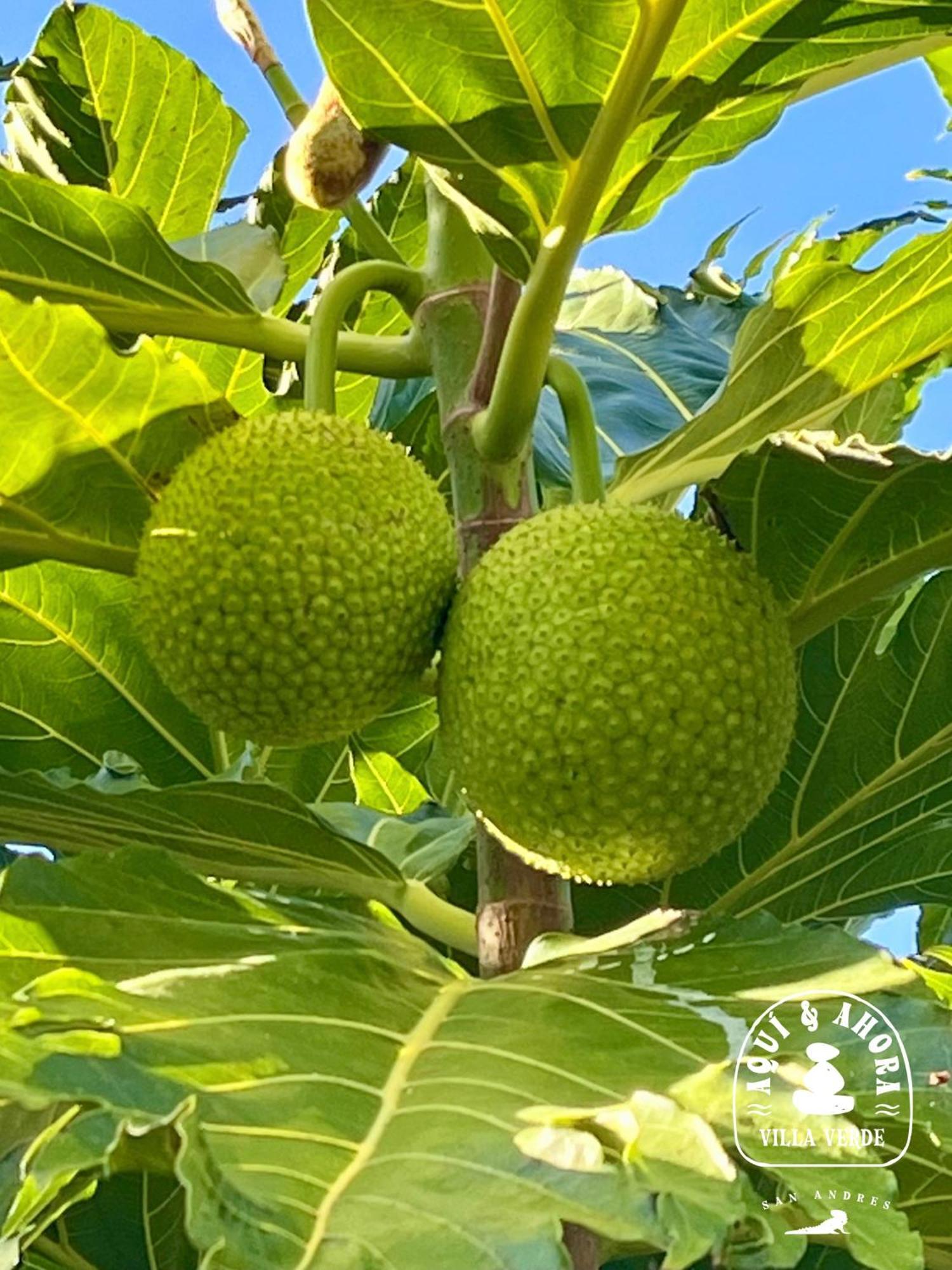 Aqui Ahora At Villa Verde San Andrés Exteriör bild